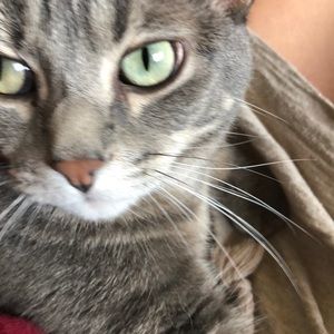 Meet your Posher, Jenna